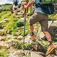 Wanderung zum Gipfel des Mont Ventoux thumb