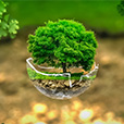 environmentally friendly thumb