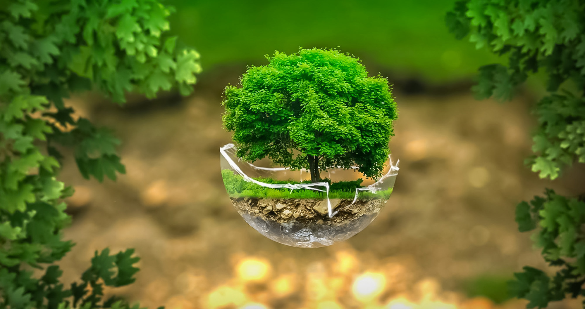 respecte de l environnement