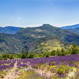 drome provencale