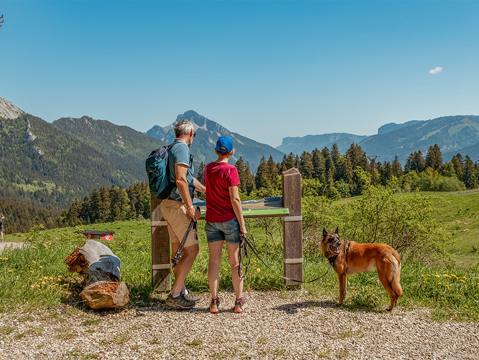 faq tourisme en drome provencale