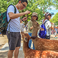 parc animalier de la region