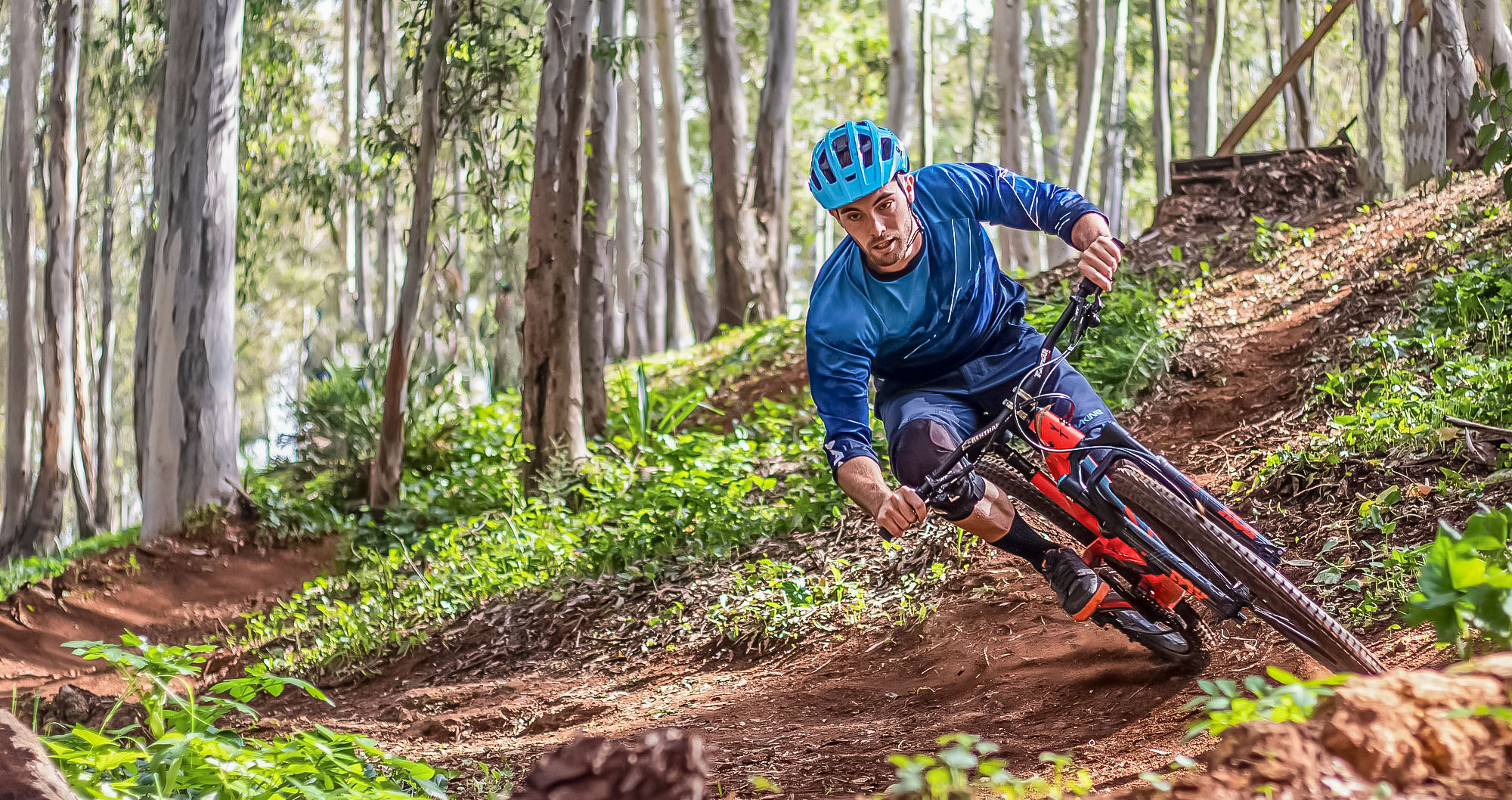 vtt baronnies provencales